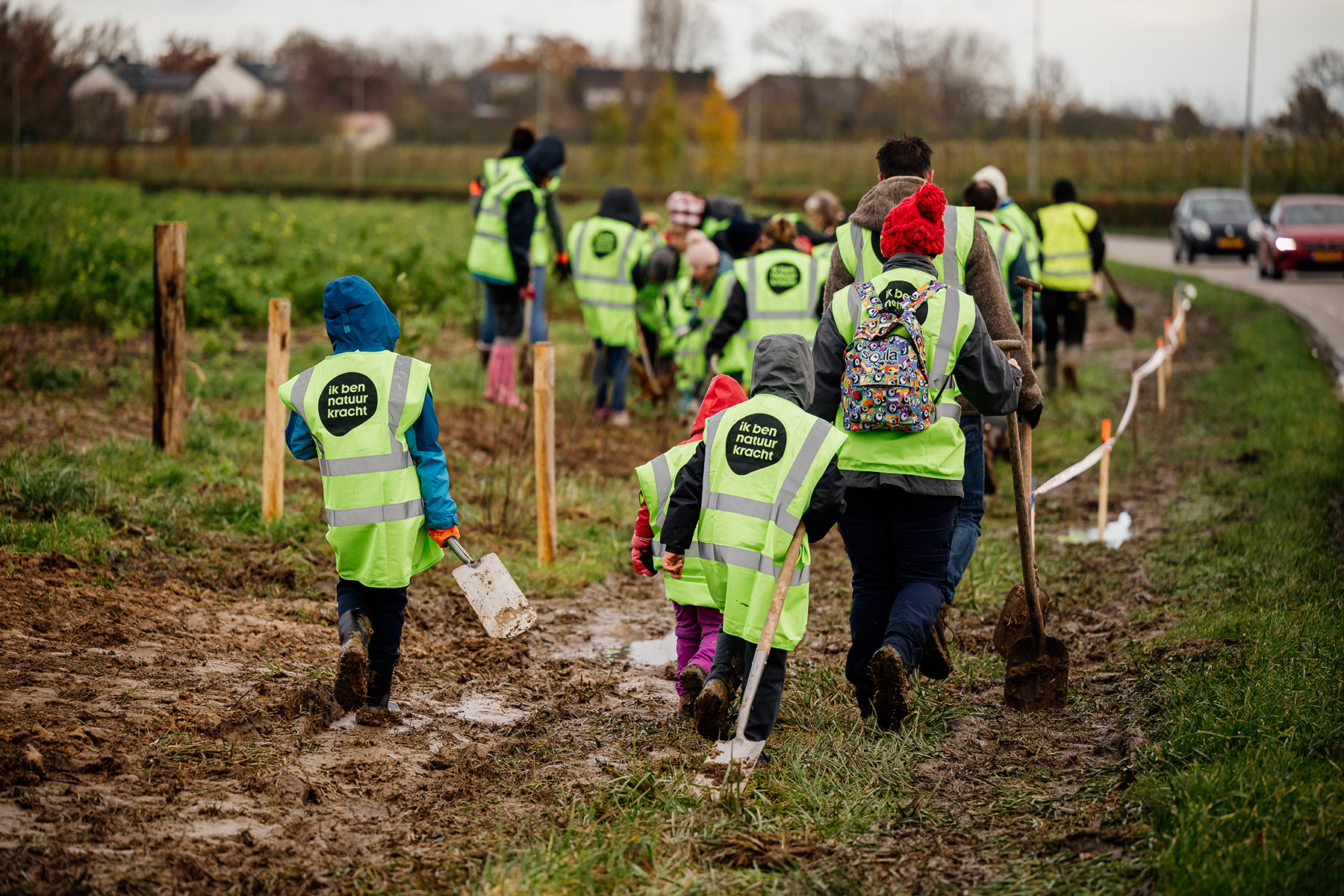 Td Injo TD Zuiderlicht | Activation campaign for Natuurkracht